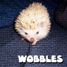 wobbles