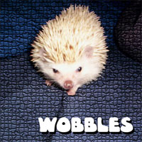 wobbles!